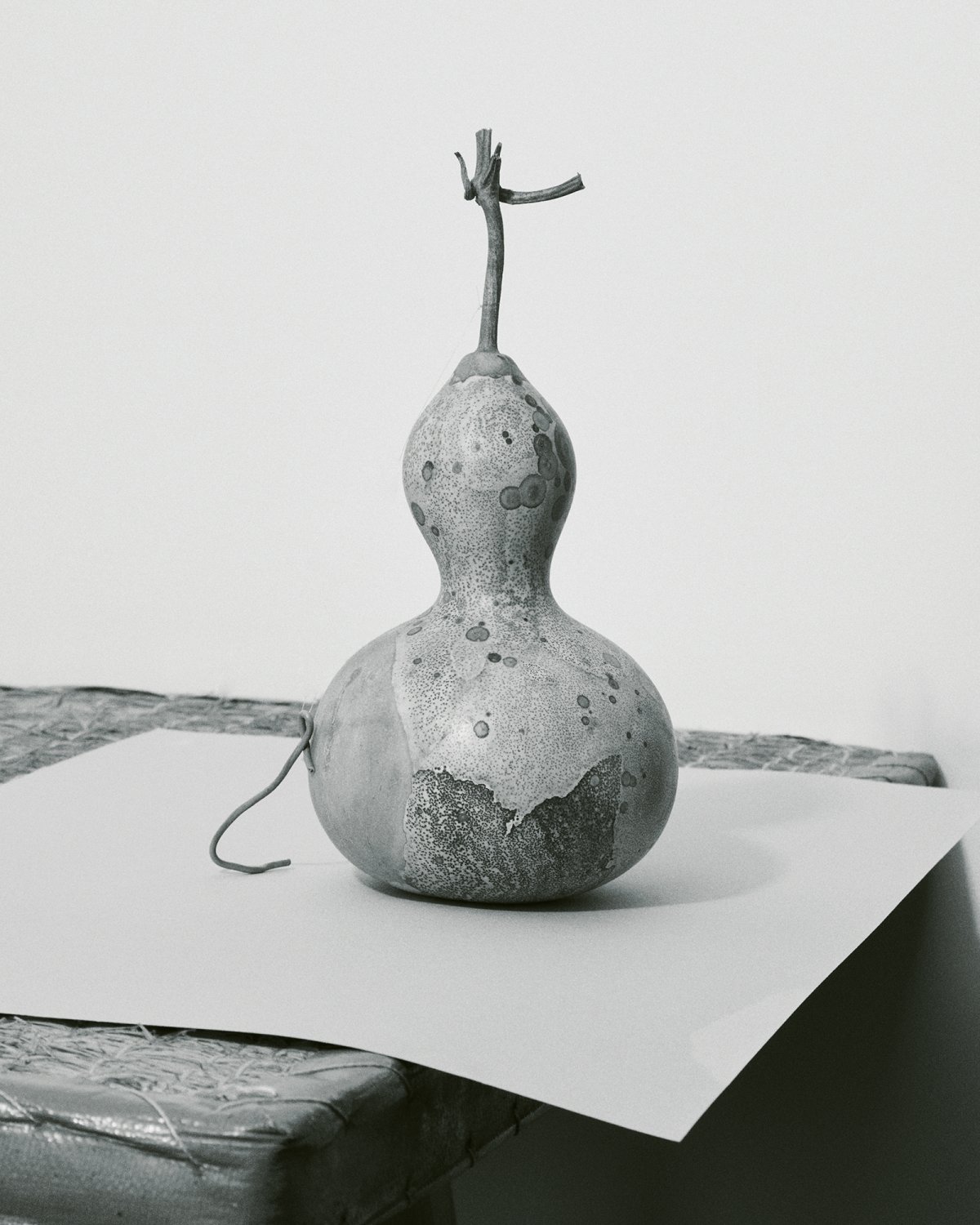 Fanfaretti Magazine-8