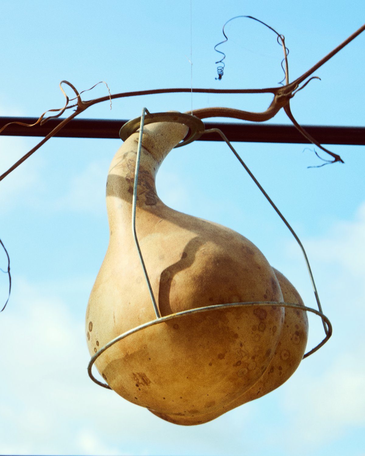 Fanfaretti Magazine-7