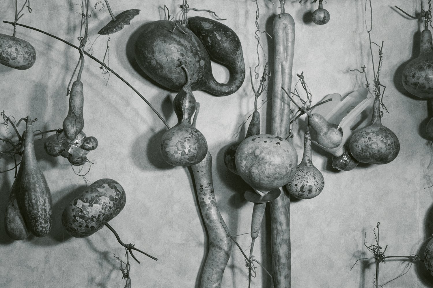 Fanfaretti Magazine-12